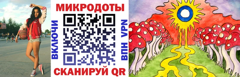 МЕГА вход  Тайшет  Псилоцибиновые грибы мухоморы  купить наркоту 